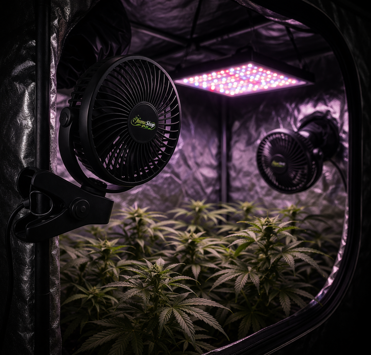 Grow Ventilatoren